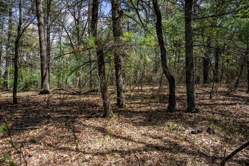 Lot 38 S Badger Ln, Arkdale, WI, 54613 | Card Image