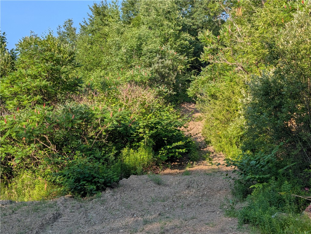 Land in Bradford Town 4