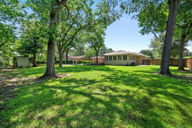 Back yard | Image 36