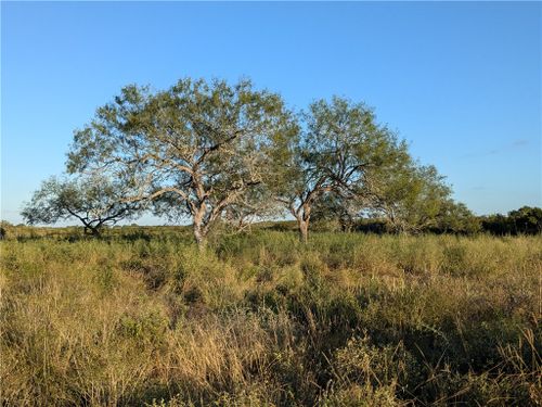 0 0, San Diego, TX, 78384 | Card Image