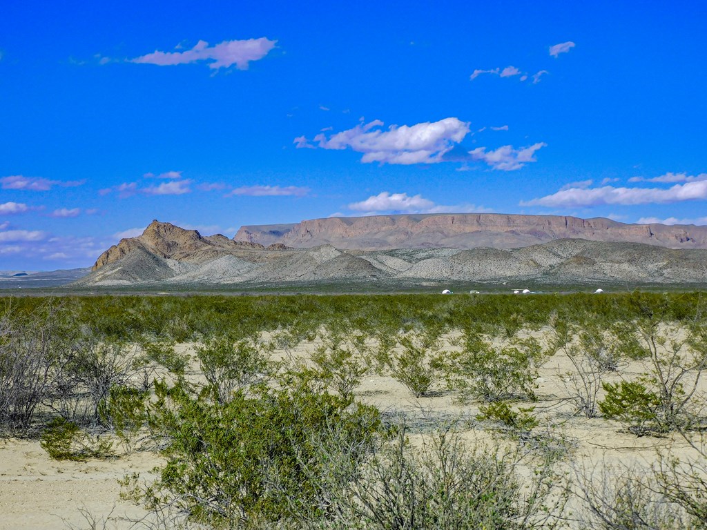Land in Terlingua 3