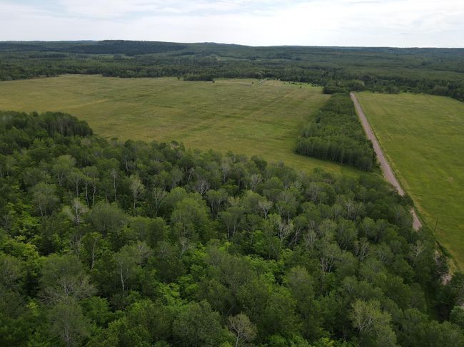 South border of property | Image 6