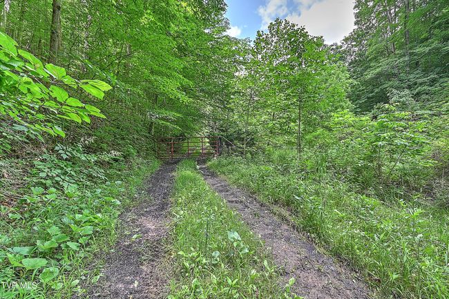 000 Goode Hollow Rd, Home with 0 bedrooms, 0 bathrooms and null parking in Duffield VA | Image 15