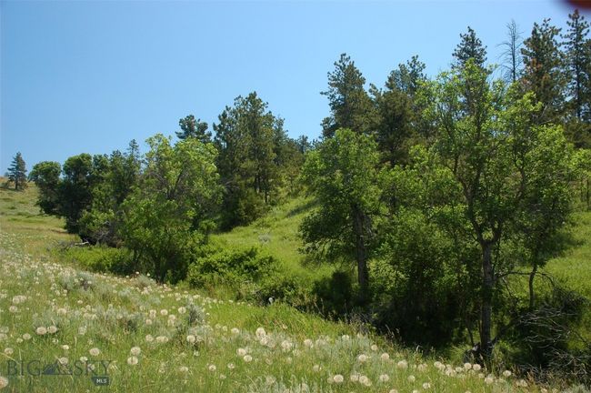 SC-25 - TBD Lone Rock Canyon Lane, Home with 0 bedrooms, 0 bathrooms and null parking in Hysham MT | Image 47
