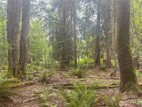 0 Black Point Ct, Brinnon, WA, 98320 | Card Image