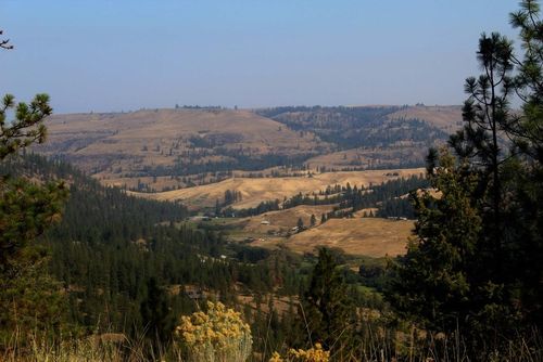 35770 Spruce Grouse Ln N, Davenport, WA, 99122 | Card Image