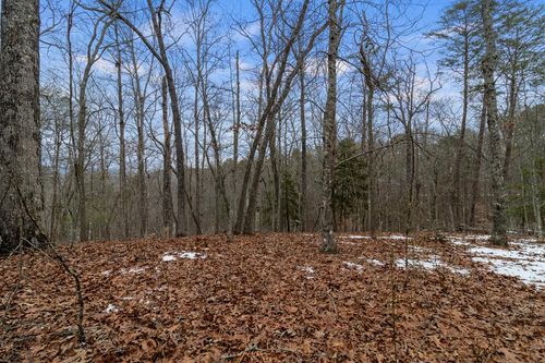 TR4 Curtis Ridge Road, Blue Ridge, GA, 30513 | Card Image