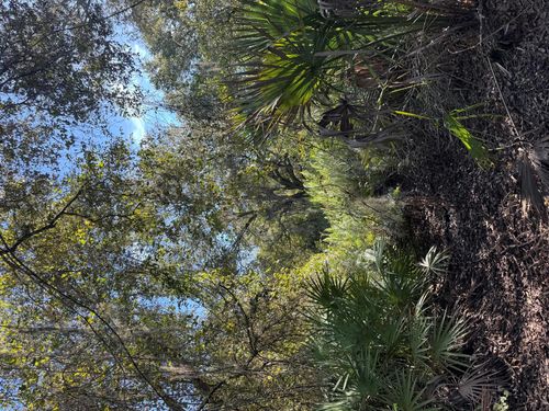 0 Nw 294th St, Okeechobee, FL, 34972 | Card Image