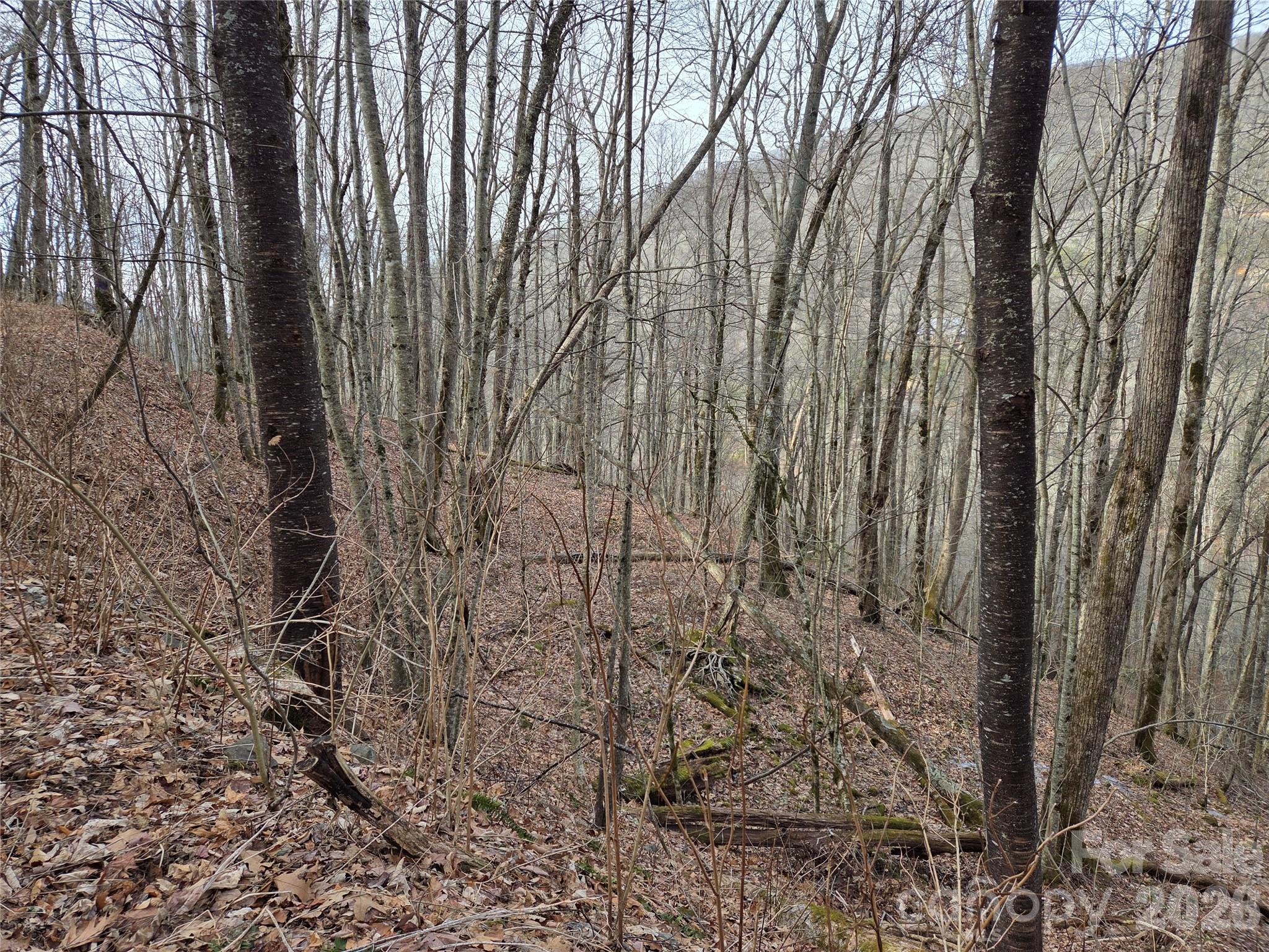 Land in Maggie Valley 4