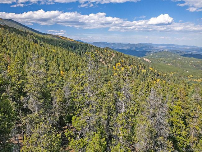 0 Edward Dr, Home with 0 bedrooms, 0 bathrooms and null parking in Conifer CO | Image 7