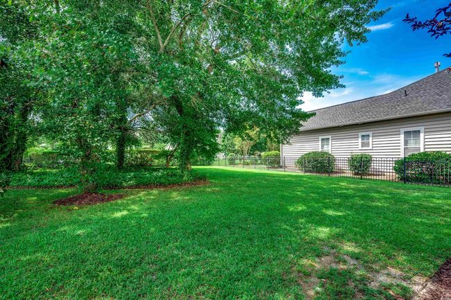View of yard | Image 35