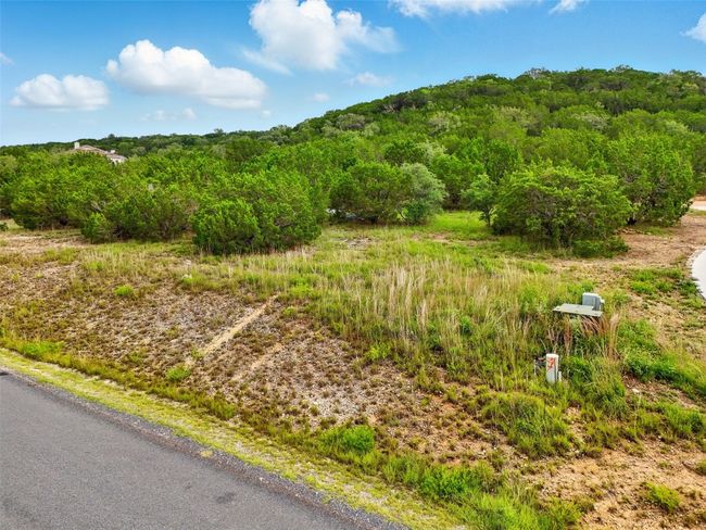 View of mountain background featuring a forest | Image 12