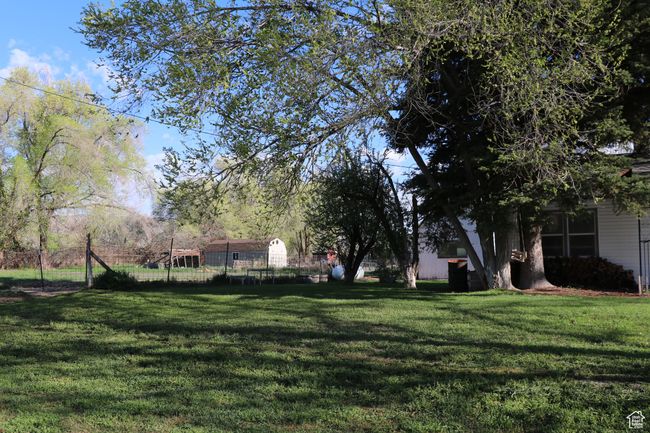View of yard | Image 35