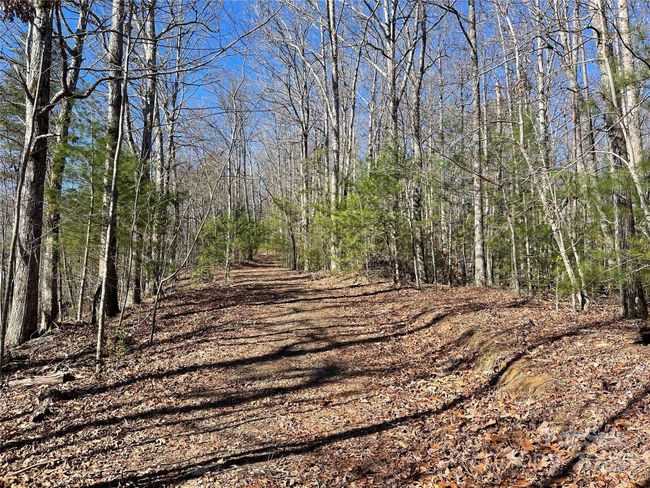 0000 Pine Log Rd, Home with 0 bedrooms, 0 bathrooms and null parking in Warne NC | Image 5