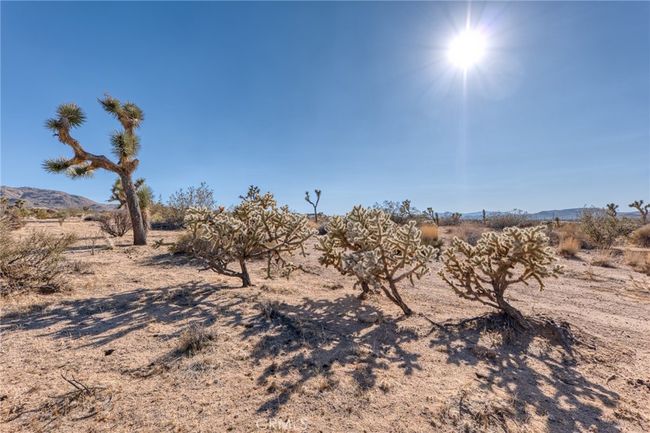107 Juniper Rd, Home with 0 bedrooms, 0 bathrooms and null parking in Joshua Tree CA | Image 15