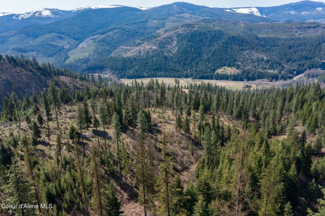262 North Side Road, Home with 0 bedrooms, 0 bathrooms and null parking in Calder ID | Image 11