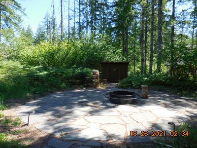 1 - Lot 1 Pine Needle, Home with 0 bedrooms, 0 bathrooms and null parking in Cougar WA | Image 1