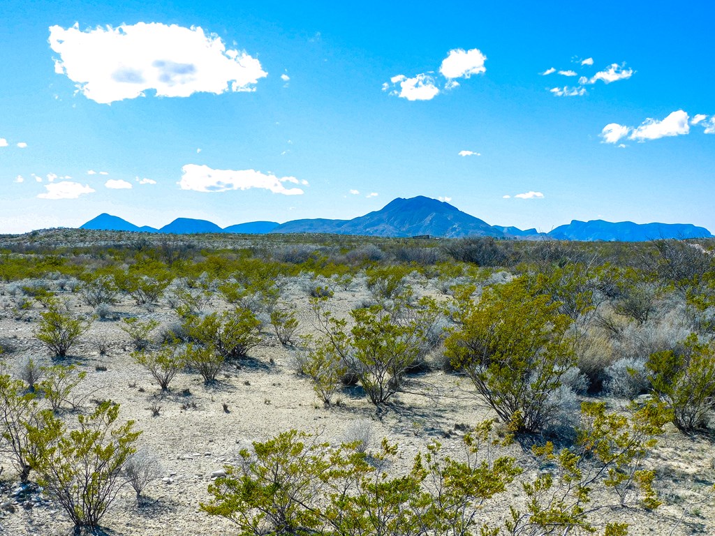 Land in Terlingua 3