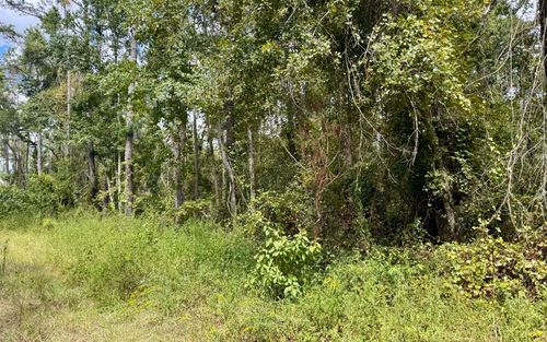 LOT45 Sw 32nd Ln, Jasper, FL, 32052 | Card Image