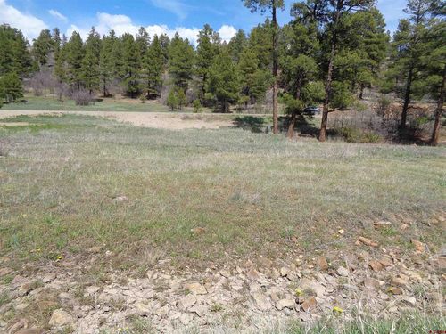 42 Sundown Cir, Pagosa Springs, CO, 81147-8158 | Card Image