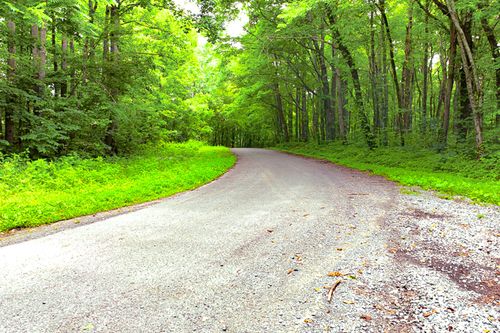 0 Haydenburg Rd, Whitleyville, TN, 38588 | Card Image