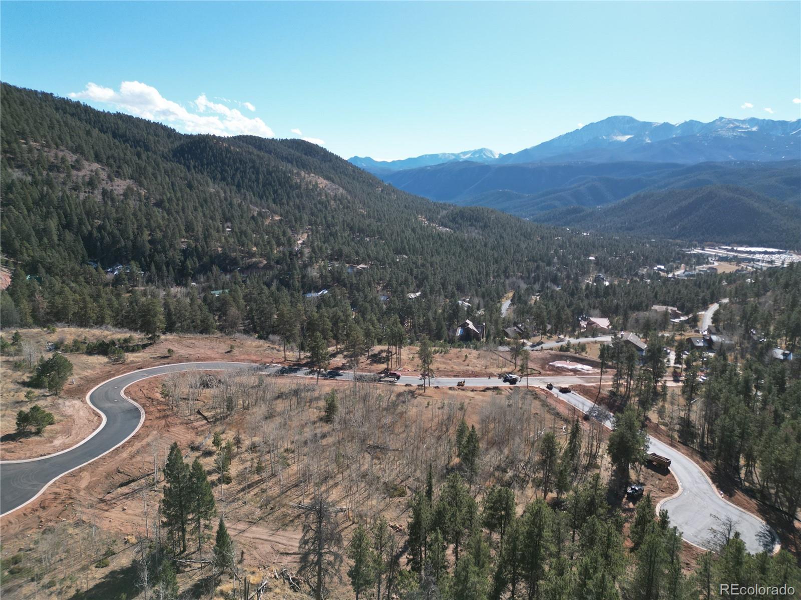 Land in Woodland Park 5