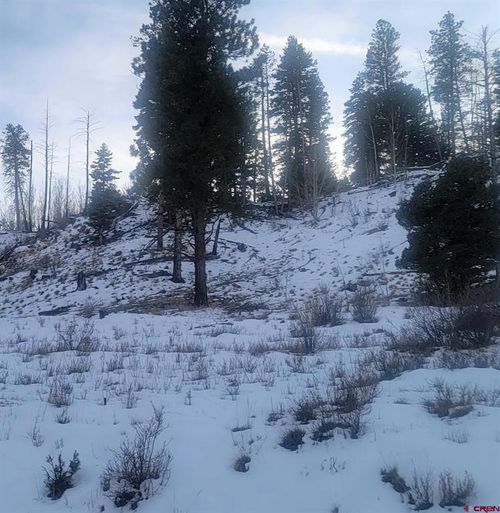 2887 Willow Park Dr, South Fork, CO, 81154 | Card Image