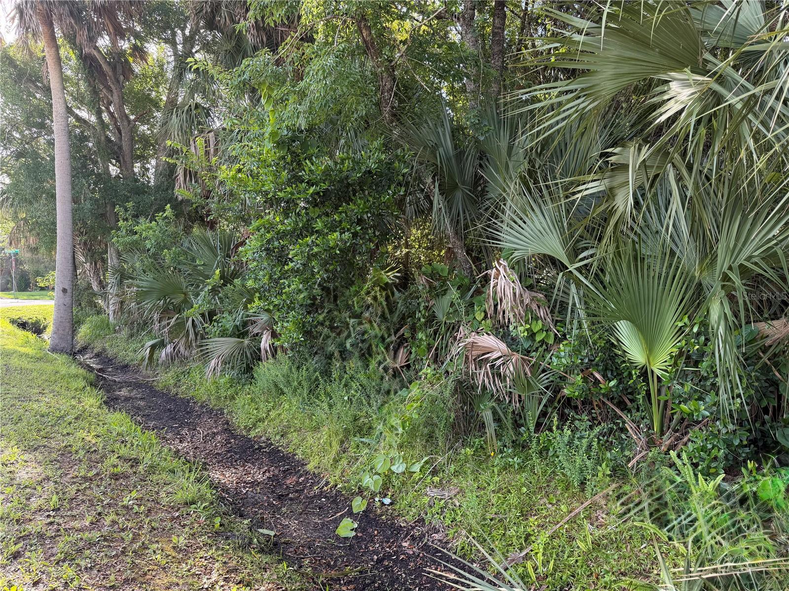 Land in NEW SMYRNA BEACH 3