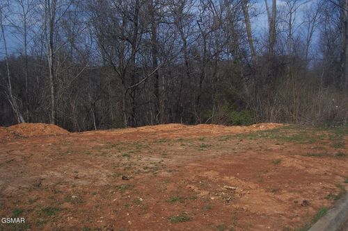 141 Low Valley Rd Road, Dandridge, TN, 37725 | Card Image