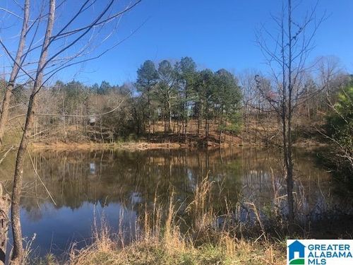 18-18-andamp-19-#0 Shady Point Rd, LOCUST FORK, AL, 35097 | Card Image