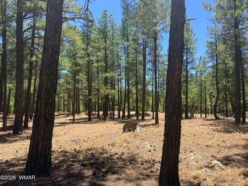 4215 Apache Dr, Happy Jack, AZ, 86024-8615 | Card Image