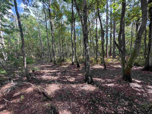 0 Bruen St, Saint Augustine, FL, 32084 | Card Image