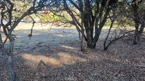 494 Kelly Ridge Rd, Oroville, CA, 95966-9416 | Card Image