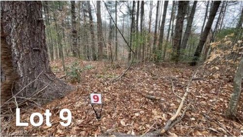 Lot 9 Woods Haven Lane, Stuart, VA, 24171 | Card Image