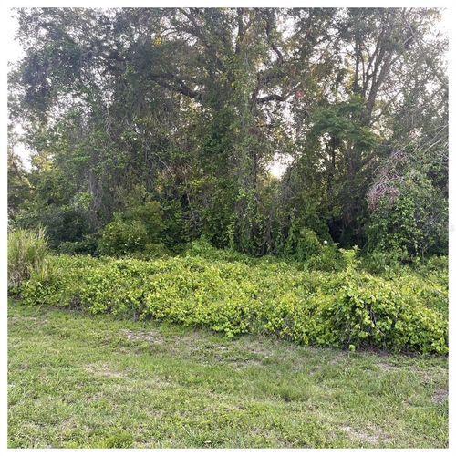 2701 Kingfisher Vlg, DELAND, FL, 32720-4325 | Card Image