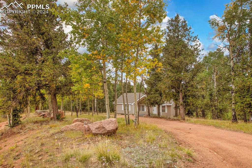 Brown Bear Dr, Cripple Creek, CO 80813
