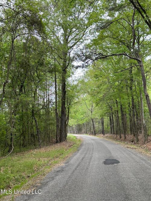  Lone Pine Church Road, Lena, MS, 39094 | Card Image