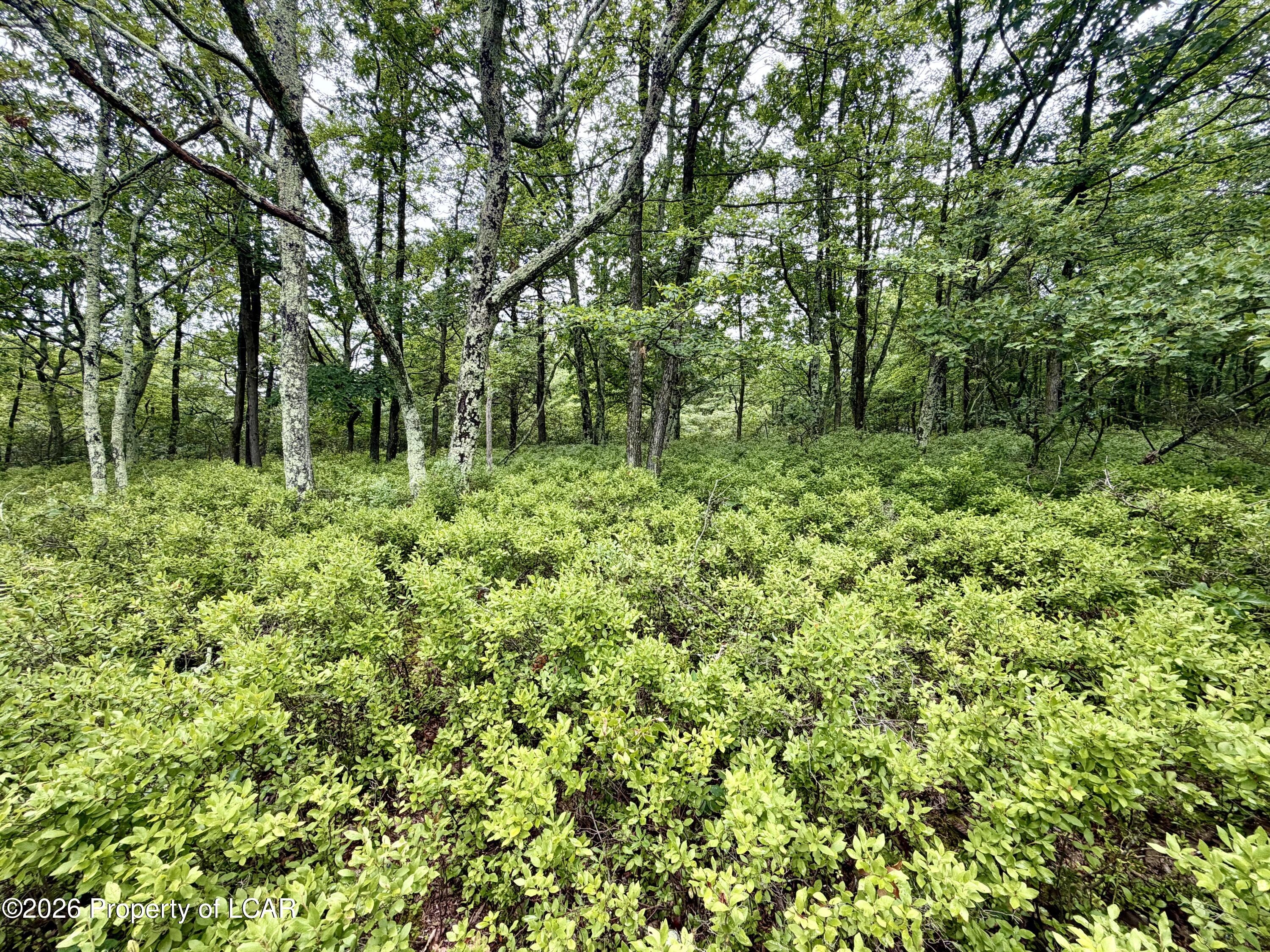 Land in Hazleton 3