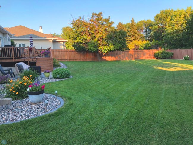 Professional Landscaping | Image 7