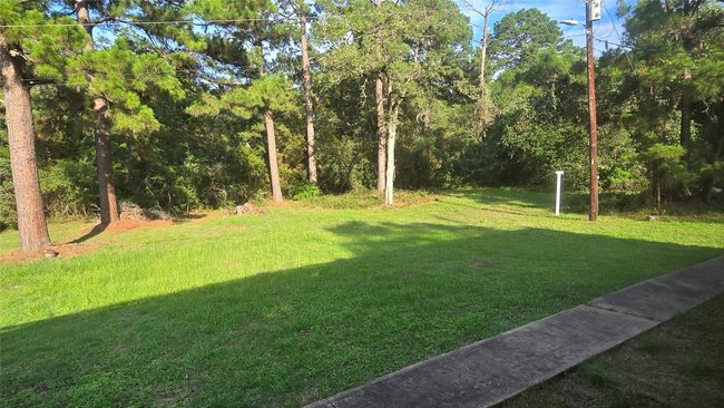 View of Forest that surrounds this property | Image 26