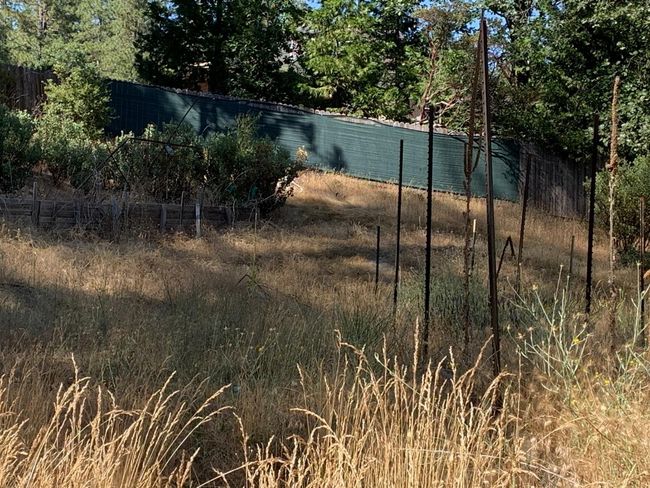 5727 Starkes Grade Rd, Home with 0 bedrooms, 0 bathrooms and null parking in Pollock Pines CA | Image 11