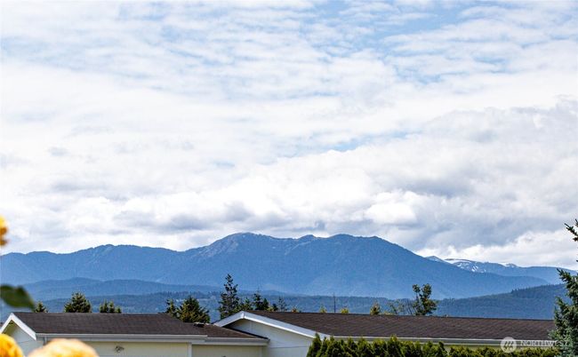 View from the front deck towards the mountains. | Image 6