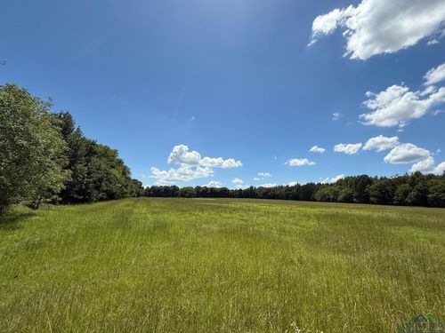 TBD County Road 1670, Mount Pleasant, TX, 75455 | Card Image