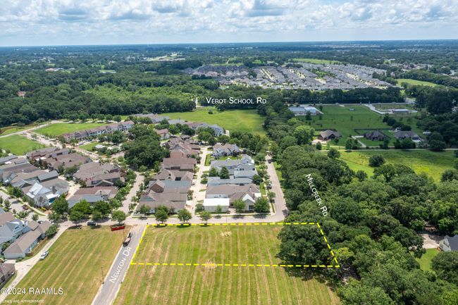 Lot1a | Image 10
