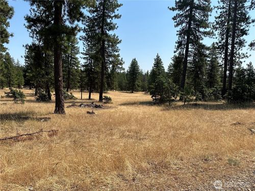 0 Lot 13 Greyback Mt Road, Goldendale, WA, 98620 | Card Image