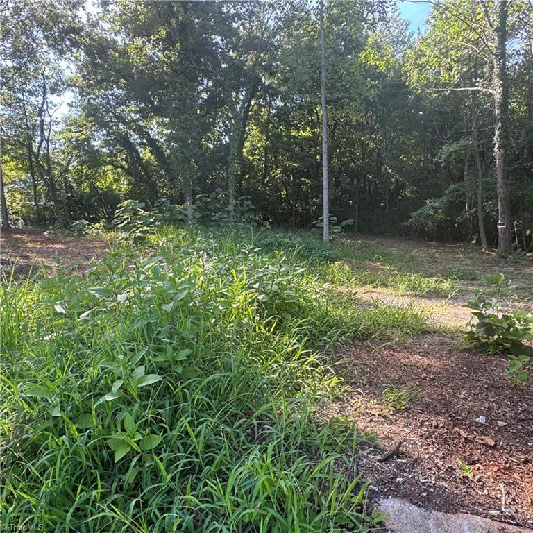 Land in High Point 4