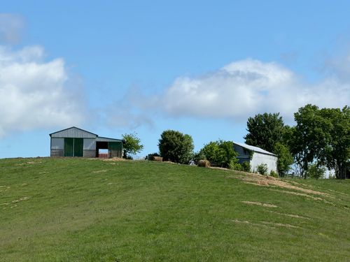 20.99 Ac Chipman Ridge Rd, Williamstown, KY, 41097-3201 | Card Image