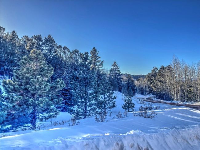1174 Monarch Dr, Home with 0 bedrooms, 0 bathrooms and null parking in Cripple Creek CO | Image 11