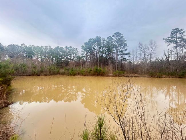 11381 Macon Rd, House other with 2 bedrooms, 1 bathrooms and null parking in Eads TN | Image 18