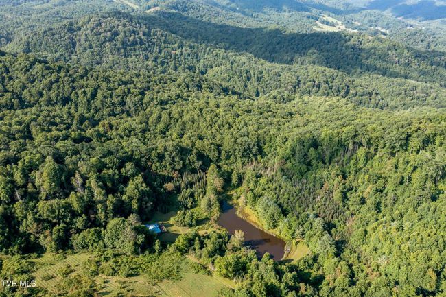 306 Bear Branch Rd, Home with 0 bedrooms, 0 bathrooms and null parking in Roan Mountain TN | Image 10